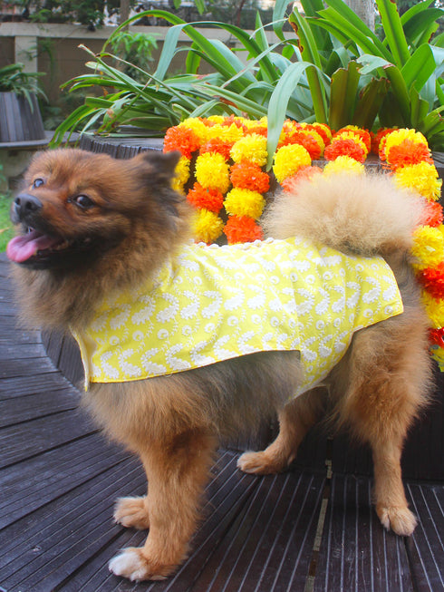 Dogs' Mustard Chikankari Pure Cotton Ethnic Kurta